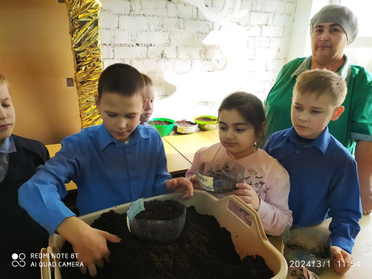 Выращиваем рассаду.